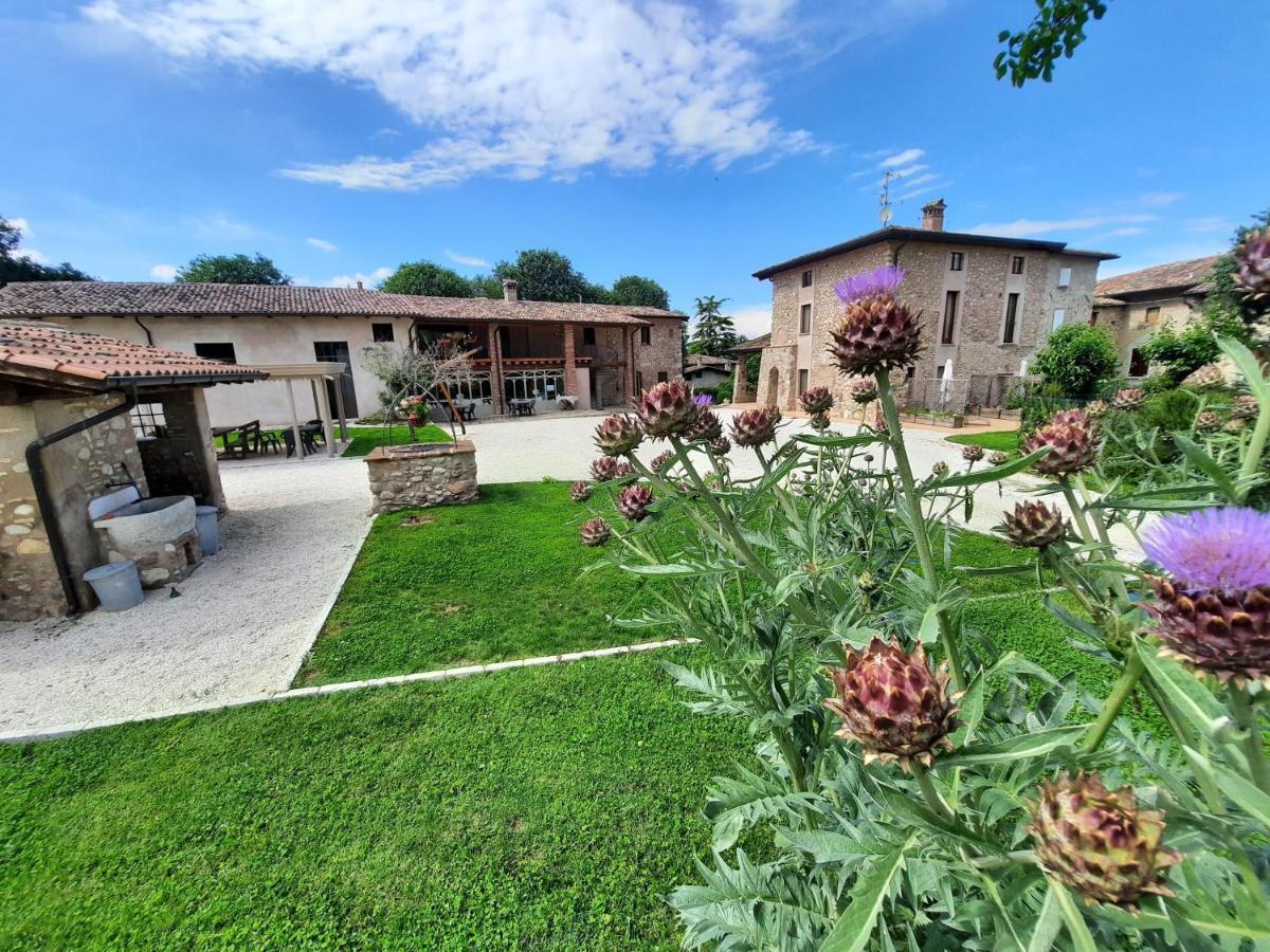 Corte Davini Agriturismo Monzambano Exterior photo
