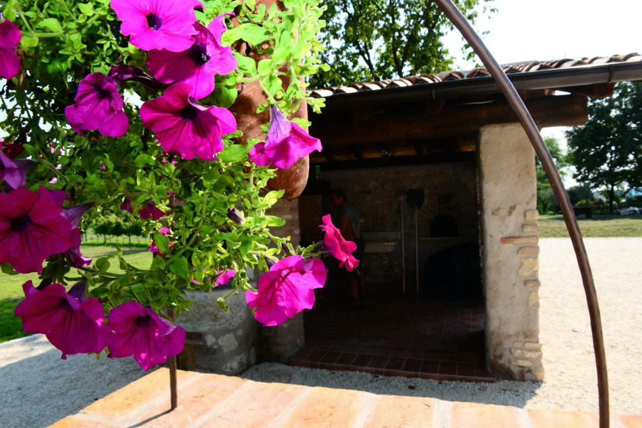 Corte Davini Agriturismo Monzambano Exterior photo